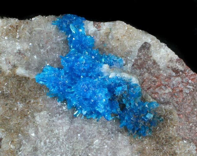 Bright Blue Cavansite Crystals on Stilbite - India #33695